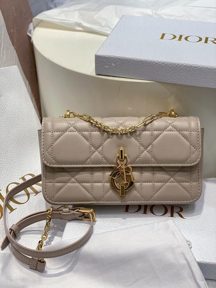 This Dior handbag is a new addition to the 2024 autumn ready to wear collection opening Diors new collection with an elegant and fashionable aesthet