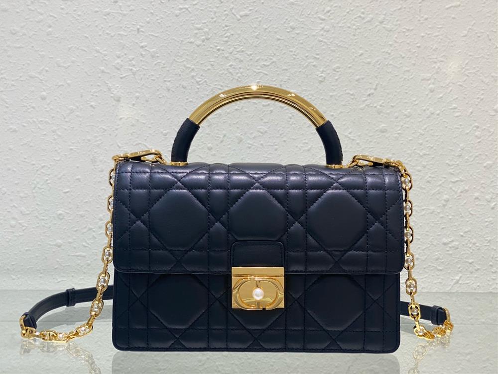 This Dior Ange handbag is a new addition to the 2024 autumn ready to wear collection opening Diors new collection with an elegant and fashionable ae