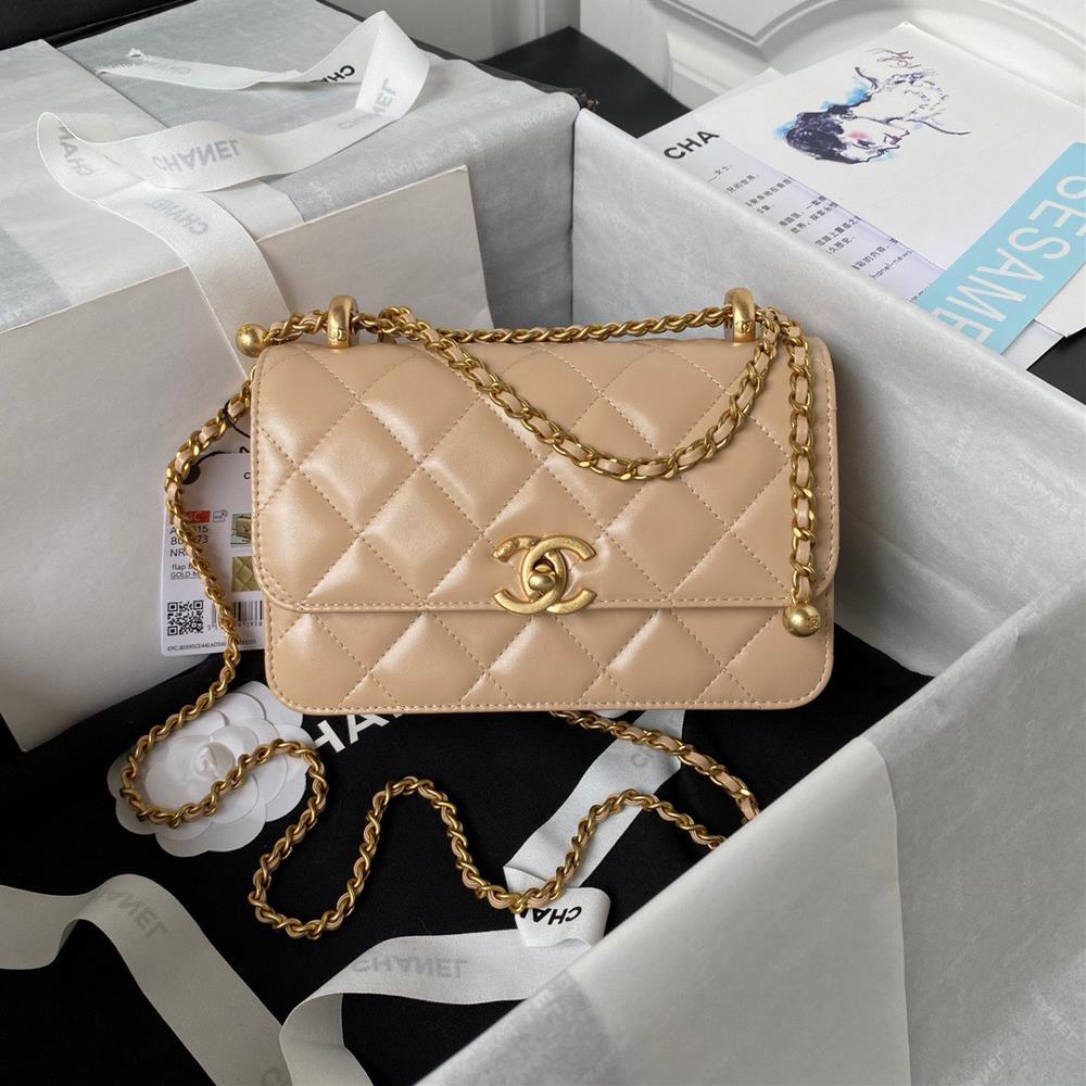 The Chanel 24C Double Ballon dOr AS2615 Exclusive Door Team walked in and took a liking to the seasonal version which turned cute The SA notified m