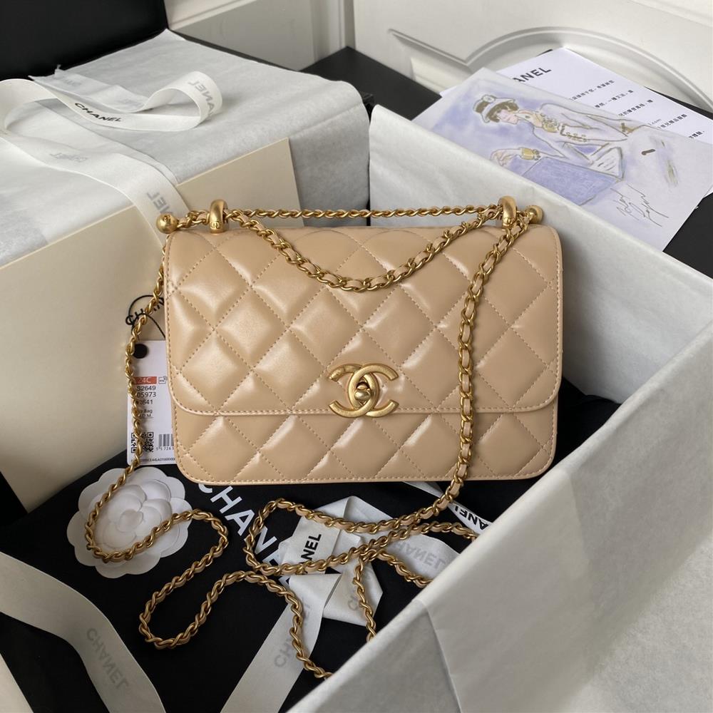 The Chanel 24C Double Ballon dOr AS2649 Exclusive Door Team walked in and took a liking to the seasonal version The cute SA notified me that the mos