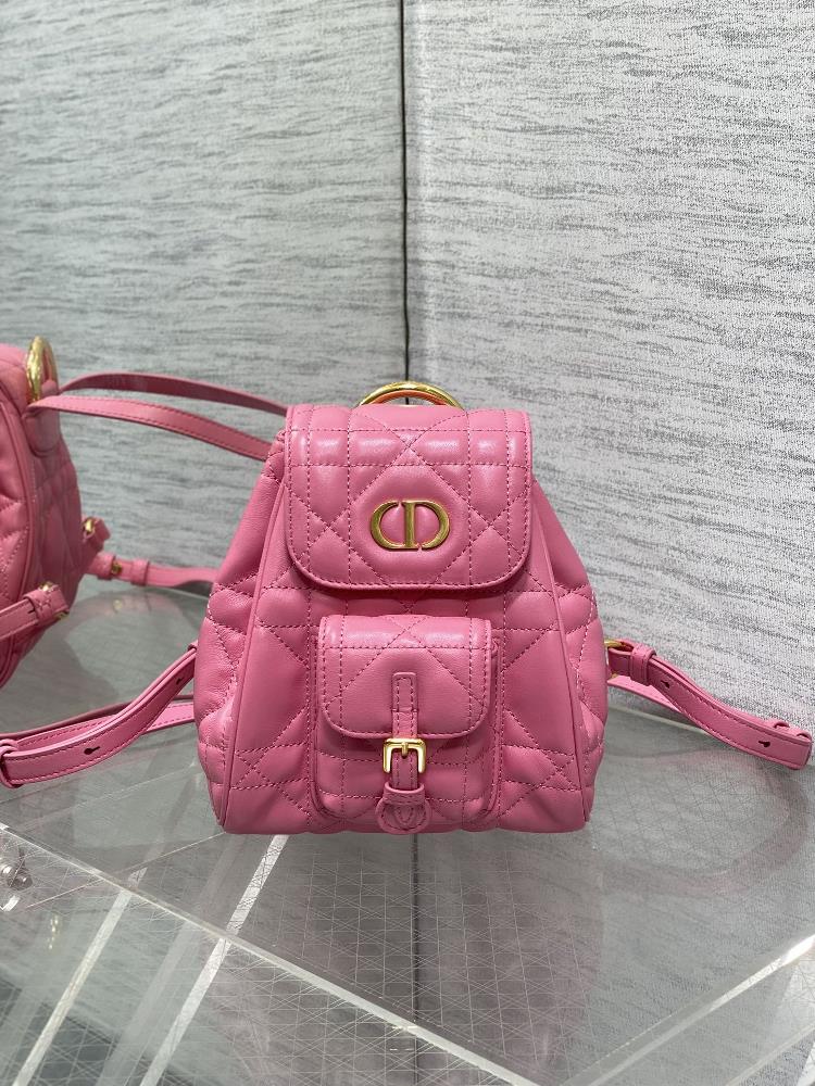 Gold powder in stockCaro AutumnWinter Series Shoulder Bag Small the hottest bag of the season combines classic elements iconic letter logo oversi