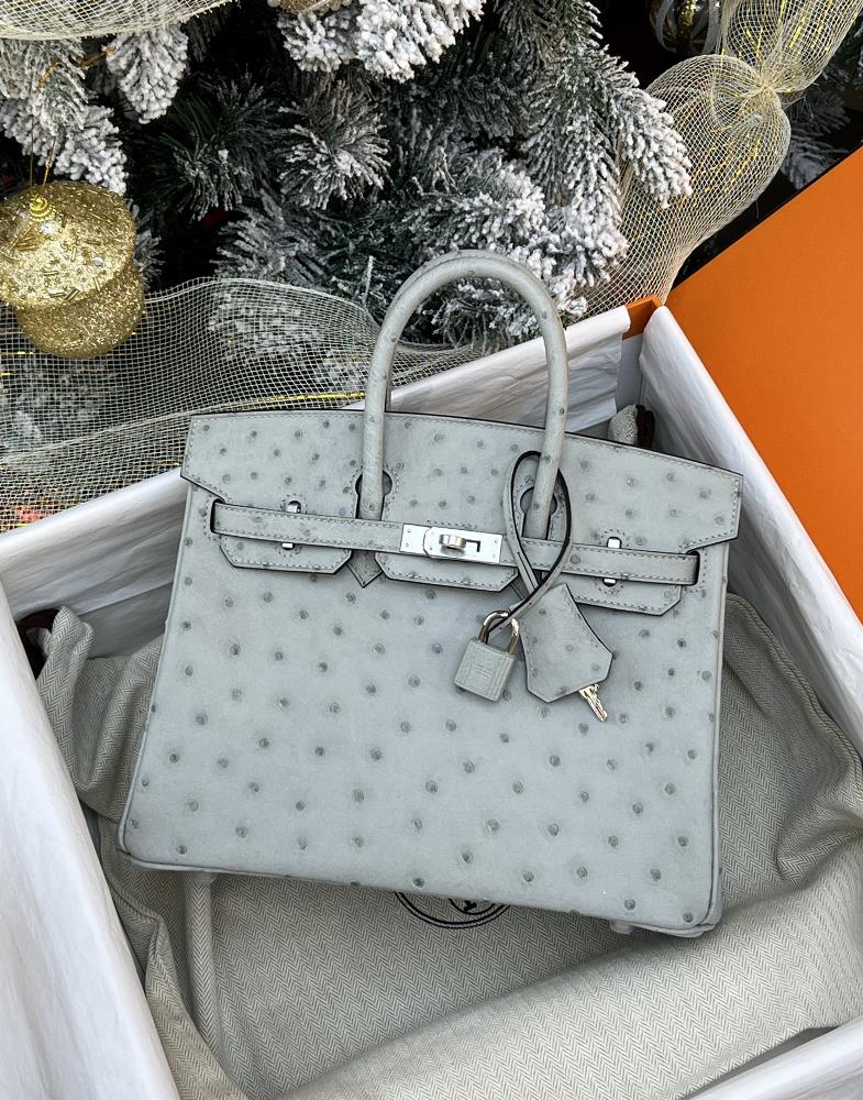 Birkin 25 ostrich skin pearl grey silver buckle in stock  professional luxury fashion brand agency businessIf you have wholesale or retail intentio